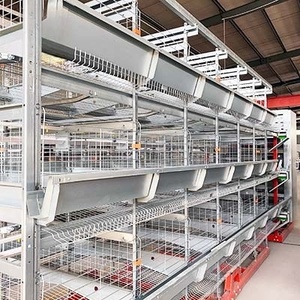 Nuevo Sistema Automático <span class=keywords><strong>de</strong></span> Jaulas para Pollos Tipo H <span class=keywords><strong>de</strong></span> 4 Niveles, <span class=keywords><strong>de</strong></span> Acero Galvanizado, para una Producción Eficiente <span class=keywords><strong>de</strong></span> <span class=keywords><strong>Huevos</strong></span> en Granjas Avícolas, Durable - Product Image 2