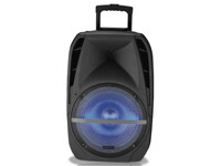 Haut-parleur audio portable intelligent et économique à LED, OEM, pour studio, discothèque, home cinéma, PA ACTIVE PRO, simple, 15 pouces, BT, USB, ROHS