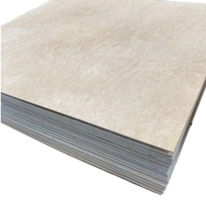 Compensato di Betulla di Alta Qualità 1525x1525, 3mm 4mm 6mm 9mm, Laminato Fenolico <span class=keywords><strong>WBP</strong></span>, E0 Formaldeide, Garanzia 1 Anno, per Uso Alberghiero - Product Image 6