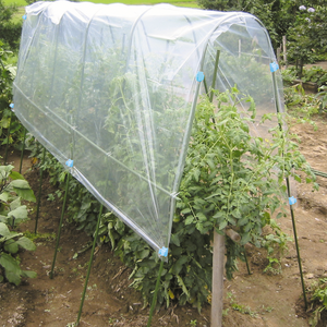 Serre tunnel de jardin haute en polyéthylène avec structure métallique, facile à assembler et écologique pour la culture de légumes et la protection des tomates - Product Image 2