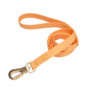 Correa de Adiestramiento para Perros, PVC Táctica, Manos Libres, para Perros Grandes, con Arnés y Collar Personalizados, Gran Venta en Amazon - Product Image 4