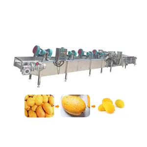 آلة غسيل الفواكه والخضروات الصناعية المتنوعة المخصصة، خط تنظيف وغسيل بالفقاعات المائية