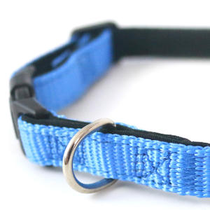 Collar de Nailon Personalizado para Mascotas de 1.6*30-45cm, Suave, con Cierre Rápido, Diseño Sólido y Estampado Simple, para Entrenamiento de Gatos - Product Image 6