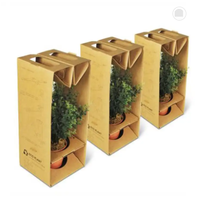 Boîte d'expédition pliable personnalisée pour plantes succulentes vivantes en pot en carton