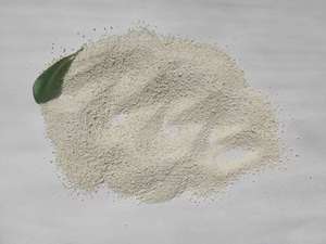 18% supplemento al fosforo di calcio di grado di elevata purezza di calcio idrogeno fosfato all'ingrosso - Product Image 4