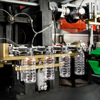 9000BPH 6-holte PET fruitsap warmvul-flesblaasmachine hittebestendige flesvormgevingsoplossing