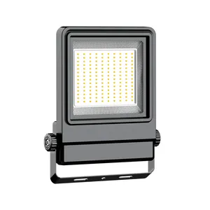 Patent Design IP66 10W-300W Schwarz Wasserdichtes Aluminium Tragbares SMD LED-Flutlicht