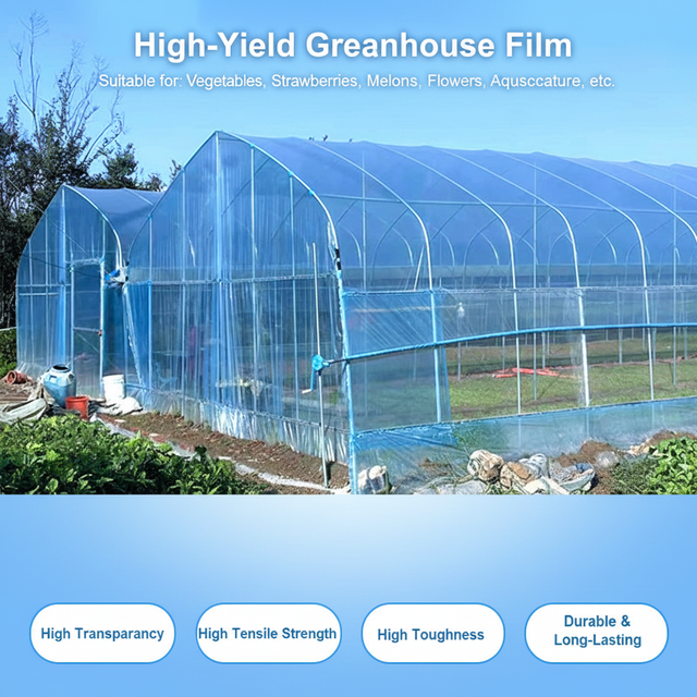 High Transparency PO Greenhouse Film 100% Virgin Material UV Protection Anti-Fog Durable Agricultural Plastic
