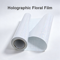 Film de lamination à froid holographique en PVC adhésif Elf pour verre brisé, rouleau de 1,27 m x 50 m pour studio, publicité et projets artisanaux