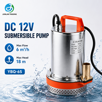 Pompe à eau submersible YBQ-65 12V24V DC pour l'irrigation et le drainage