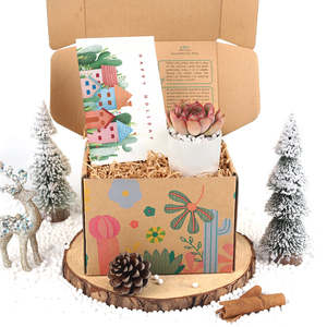 Caja de regalo con maceta de <span class=keywords><strong>Cactus</strong></span> suculenta <span class=keywords><strong>y</strong></span> rellena, plantas <span class=keywords><strong>suculentas</strong></span> cuadradas <span class=keywords><strong>para</strong></span> diseño de interiores, decoración del hogar, Kit de jardinería <span class=keywords><strong>interior</strong></span> - Product Image 6