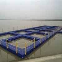 Dock flottant en HDPE Botai Factory Direct avec piston, résistant aux UV, certifié ISO9001:2015, 500x500x400mm, pour utilisation avec des jet-skis