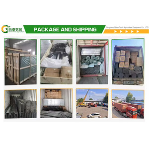 Serre agricole tunnel monopente en PE de haute qualité, petite taille, facilement assemblable, avec couverture en film pour la culture de tomates/concombres - Product Image 5