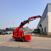 Nouvelles mini-grues araignées sur chenilles avec bras hydrauliques articulés et nacelles suspendues