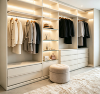 Système de dressing ouvert moderne sur mesure avec armoire intégrée et éclairage LED pour dressing
