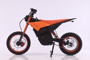 EU New Adult Large Brushless Dirt Bike <b>48V</b> 3000W 60 km/h Dual Purpose Riding Moto Cross E-bike Motorcycle CE - Product Image 3