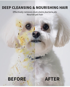 مستلزمات الحيوانات الأليفة الصديقة للنظافة الرطبة والجافة ، قفازات مناديل مبللة بدون شطف للقطط والكلاب ، إزالة الروائح الكريهة عبر الحدود للتجارة الخارجية - Product Image 3