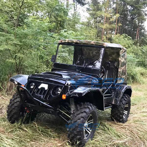 Haute qualité 250cc Sport Street Legal jeep électrique Buggy moteur jeep Kart adultes moteur à essence jeep chariot - Product Image 2