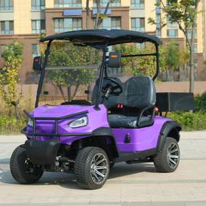 Beemotor Nuovo Mini Furgone Elettrico da Golf con Ruota Sinistra a Bassa Velocità e Cambio Automatico Rapido - Product Image 1