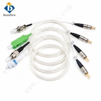 Diode laser compacte 405 nm 300 mW 500 mW multimode coaxiale avec fibre 0,22 NA pour le durcissement UV