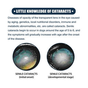 Chiens et chats Tear-Enlever et soulager <span class=keywords><strong>les</strong></span> démangeaisons oculaires Gouttes oculaires nettoyantes douces - Product Image 5