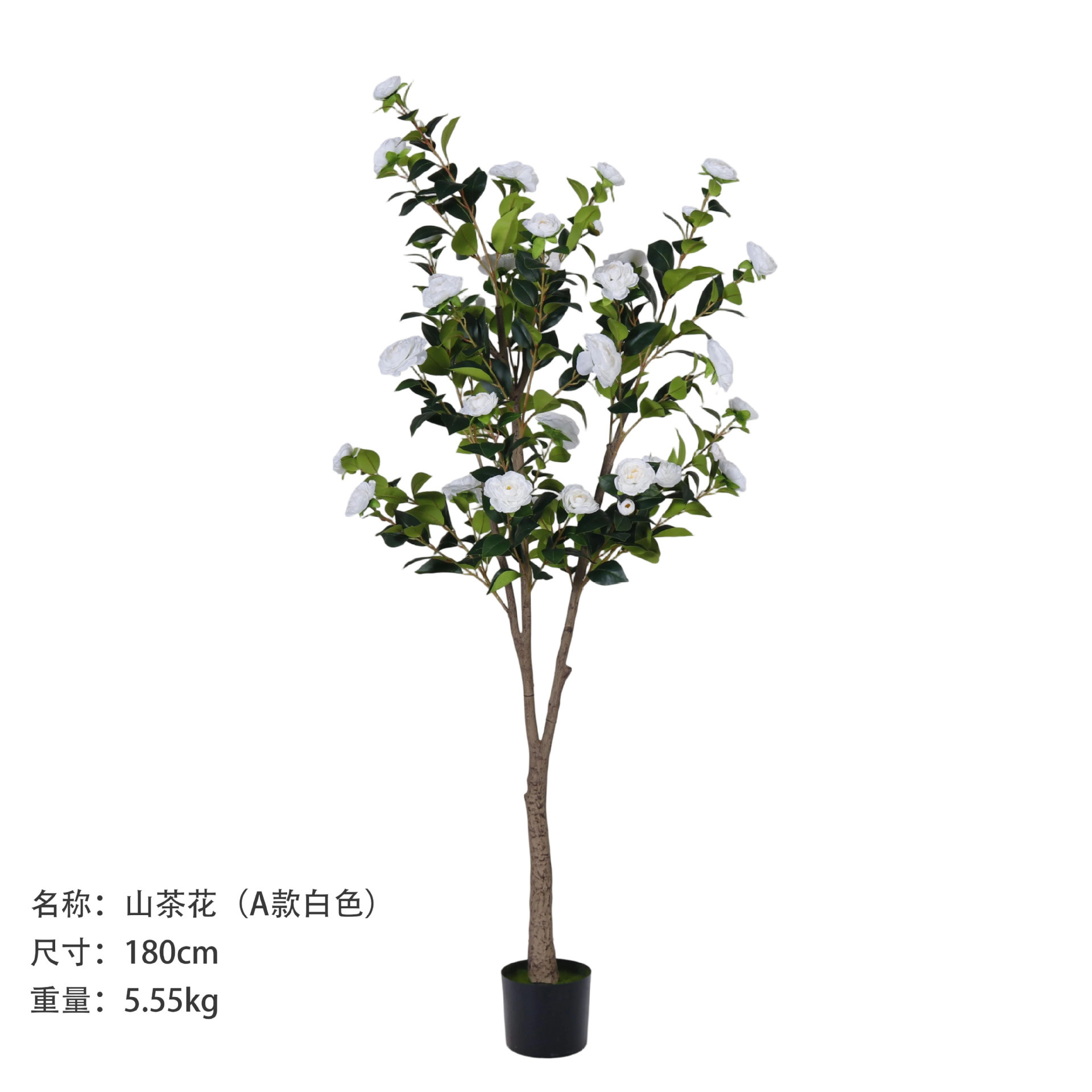 Camélia 180 cm (style A, blanc)