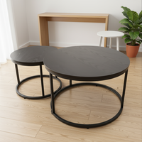 Ensemble de 2 tables basses gigognes modernes et durables, plateau en bois, structure métallique, table centrale ronde pour salon, appartement, gain de place