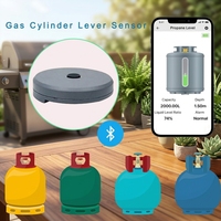 Capteur de niveau de bouteille de gaz magnétique LPG-2412-BT pour camping-car, indicateur de niveau de GPL alimenté par batterie