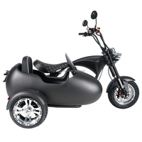 Gudang Eropa Citycoco sepeda motor skuter listrik dengan Sidecar 60Kg beban maks untuk kargo hewan peliharaan anak-anak