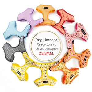 Pronta Consegna: Comoda Pettorina <span class=keywords><strong>per</strong></span> <span class=keywords><strong>Cani</strong></span> in Neoprene, Morbida e Traspirante con Imbottitura in Rete, <span class=keywords><strong>per</strong></span> Bassotti e <span class=keywords><strong>Cani</strong></span> <span class=keywords><strong>di</strong></span> <span class=keywords><strong>Piccola</strong></span> <span class=keywords><strong>Taglia</strong></span>, con Collari e Guinzagli - Product Image 1