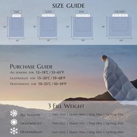 Collection d'hôtels-Couette en duvet Queen Size douce et nuageuse Couette en plumes d'oie ultra-douce Couette en duvet légère pour toutes les saisons