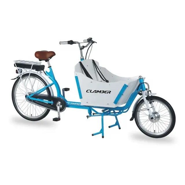 Vendita calda elettrico cargo bike con cabina/cargo triciclo con certificazione CE per la vendita/2 ruota bakfiets Arrampicarsi UB9015E
