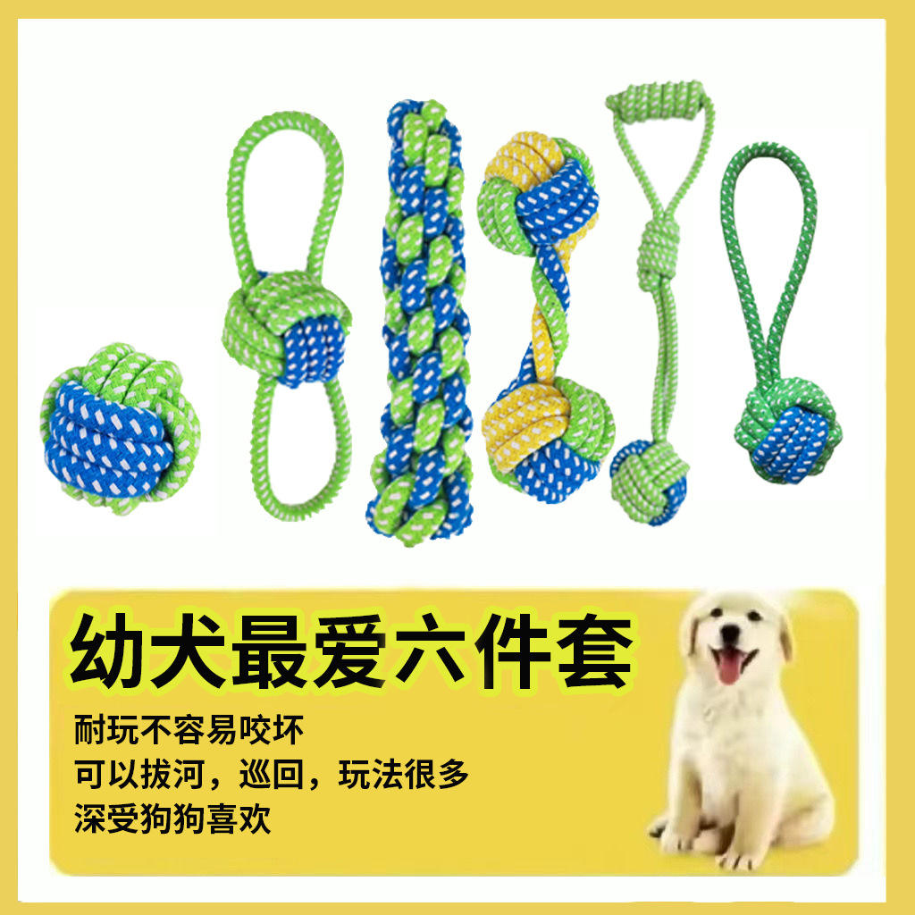 Ensemble de 6 pièces pour le nettoyage des dents molaires de votre chiot.