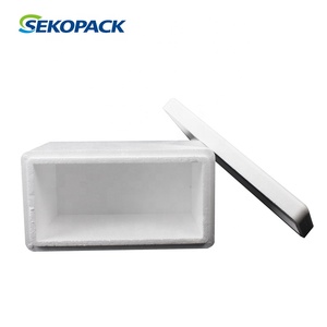 5L Factory in stock Cooler Styrofoam Box For Ice 25 L * 13 W * 15 H(cm)