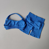 Спортивный комплект F235 Xingzhong New Seamless для женщин: бесшовные шорты-велосипедки с эффектом push-up и топ для йоги (2 предмета)