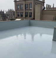 Revêtement imperméable en émulsion acrylique bio-résistante avec additif anti-algues, peinture anti-salissure pour murs humides et ombragés