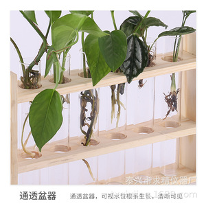 Retro Wooden Hydroponic Plant <b>Stand</b> With Glass Tubes For Pothos <b>Desktop</b> Decoration - Product Image 5