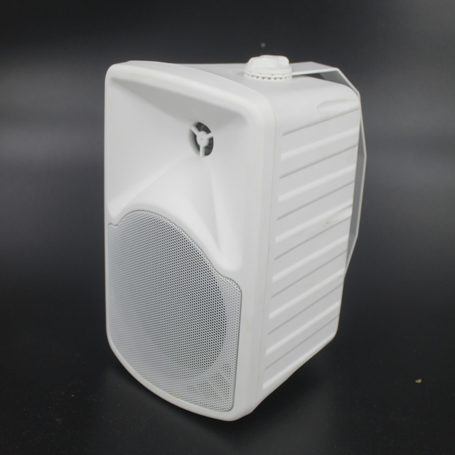 Hot Selling Professional 6.5 Inch 40W Two-way Audio Plastic Passive Speaker Customized Size Sound System Wall Mounted Speakers