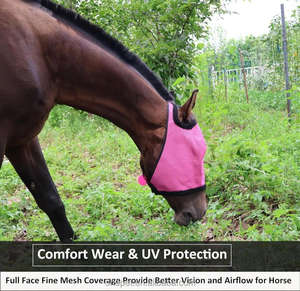 Nouveau masque de <span class=keywords><strong>cheval</strong></span> Anti-mouche morsure Cool respirant Anti-moustique parasol <span class=keywords><strong>couverture</strong></span> de tête de <span class=keywords><strong>cheval</strong></span> sans oreille fournitures de soins de <span class=keywords><strong>cheval</strong></span> équestre - Product Image 6