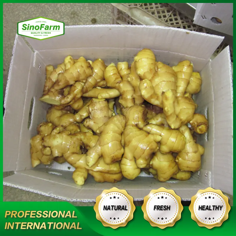 Fresh Dry jengibre Buy Dried Ginger Buyers For Wholesale China Ginger For Sale Cheap Price