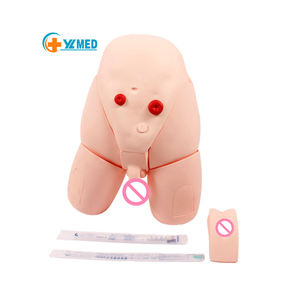 Модель катетеризации мочевыводящей системы для мужчин и женщин - Product Image 1