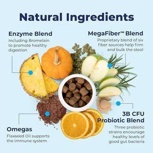 Traitement OEM Suppléments de soins de santé pour animaux de compagnie Glande anale pour chien Mâche molle pour améliorer la santé intestinale - Product Image 4