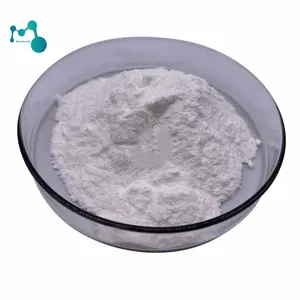 Bán buôn số lượng lớn 3081 chiết xuất trà xanh L-theanine bột 99% L theanine L-theanine