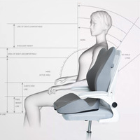 Coussin Orthopédique en Mousse à Mémoire de Forme en Gros pour Soulagement du Mal de Dos au Bureau et en Voiture, Dossier et Siège Lombaire Confort