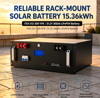 Batería de Almacenamiento de Energía LiFePO4 Escalable para Montaje en Rack, 51.2V 300Ah 15.36kWh, Alto Rendimiento Pico, BMS Inteligente, Larga Vida Útil