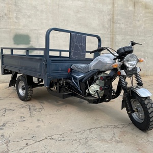 Motocicleta de 3 ruedas para adultos al <span class=keywords><strong>por</strong></span> mayor, velocidad máxima motorizada, 40 km/H, triciclo eléctrico, capacidad de carga de 800kg para pasajeros - Product Image 2