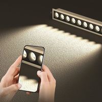 Réflecteur de lumière LED linéaire Laser Blade, grille spot pour hôtel, 1x2W-15x2W, IP44, dimmable, UGR 10-19, CRI Ra90/Ra97, 3500K, blanc chaud