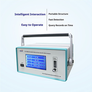 เครื่องวิเคราะห์ก๊าซแบบพกพา Runlai Intelligent M502 สำหรับวัดค่าแคลอริฟิกหลายชนิด CO2 CH4 DP CnHm พร้อมตัวตรวจจับที่ปรับแต่งได้ - Product Image 3