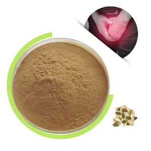 Bubuk ekstrak biji labu alami murni Food Grade 40% ekstraksi pelarut asam lemak untuk makanan kesehatan dikemas dalam Drum