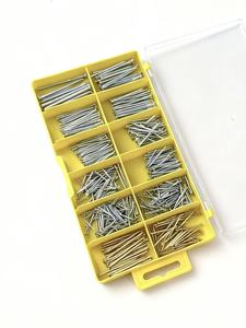 Stalen Nagelset In Verschillende Maten 500 Stuks Gegalvaniseerd En Met Koper Gecoate Platte Spijker Kleine Gemeenschappelijke Draad Ijzeren Spijker Met Tack - Product Image 4